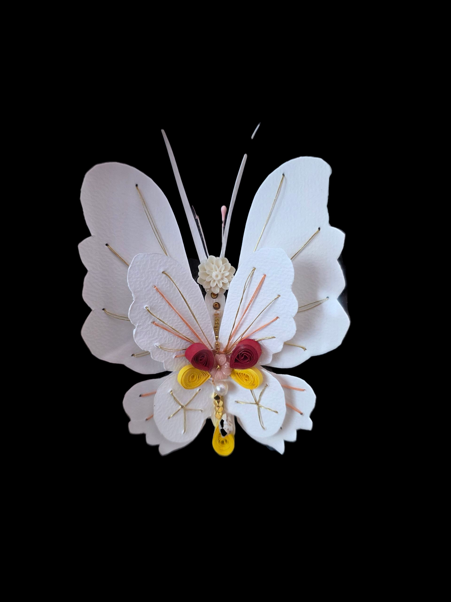 PAPILLON DE LUMIÈRE